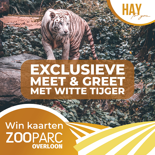 Win Kaarten Zooparc Overloon 2.0 klein